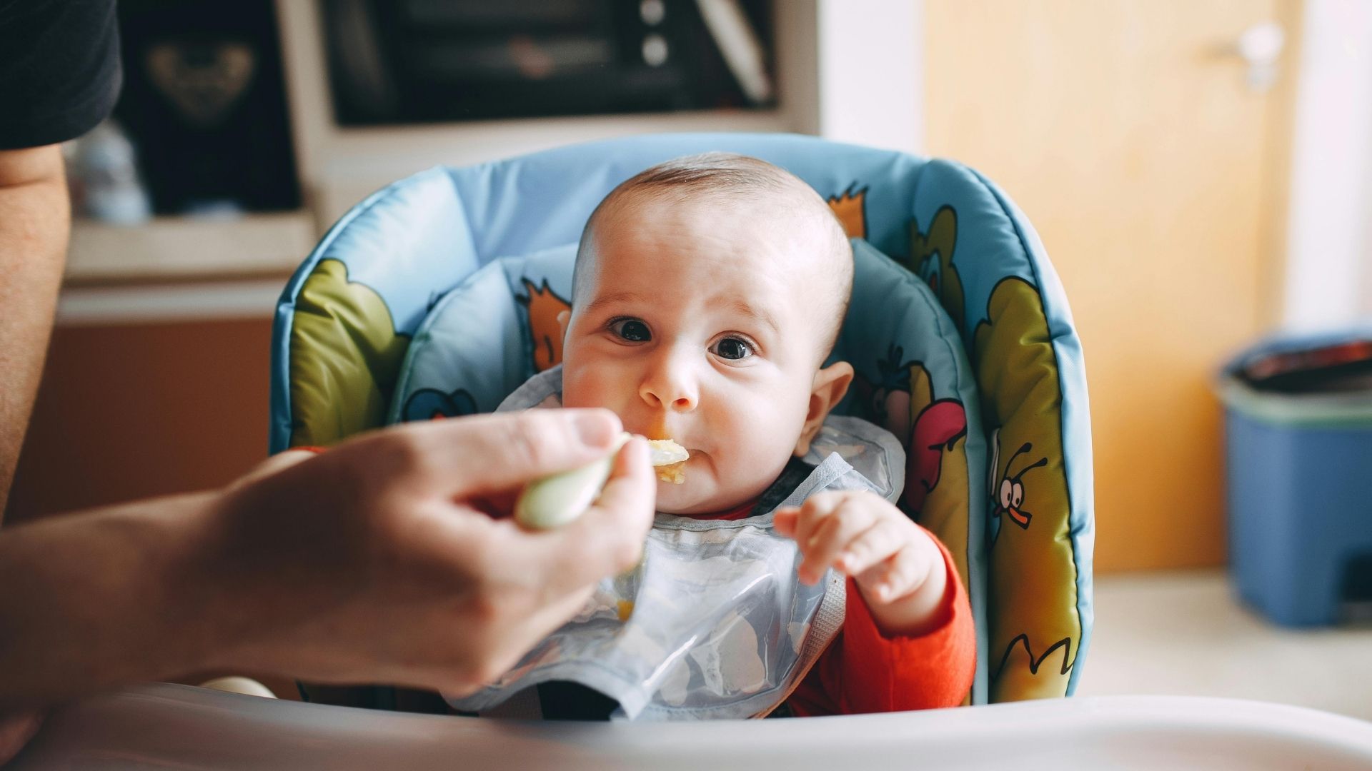 Recetas deliciosas y divertidas - Papillas 3 Revista Digital mamas360 Embarazo y Maternidad