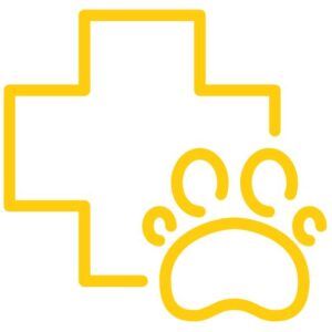 Mascotas mamas360