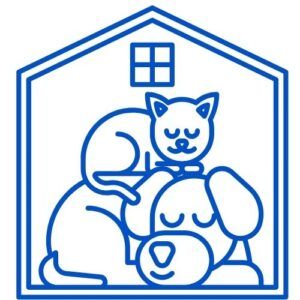 mascotas