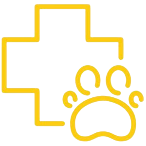 Salud Mascotas Revista Digital Embarazo y Maternidad